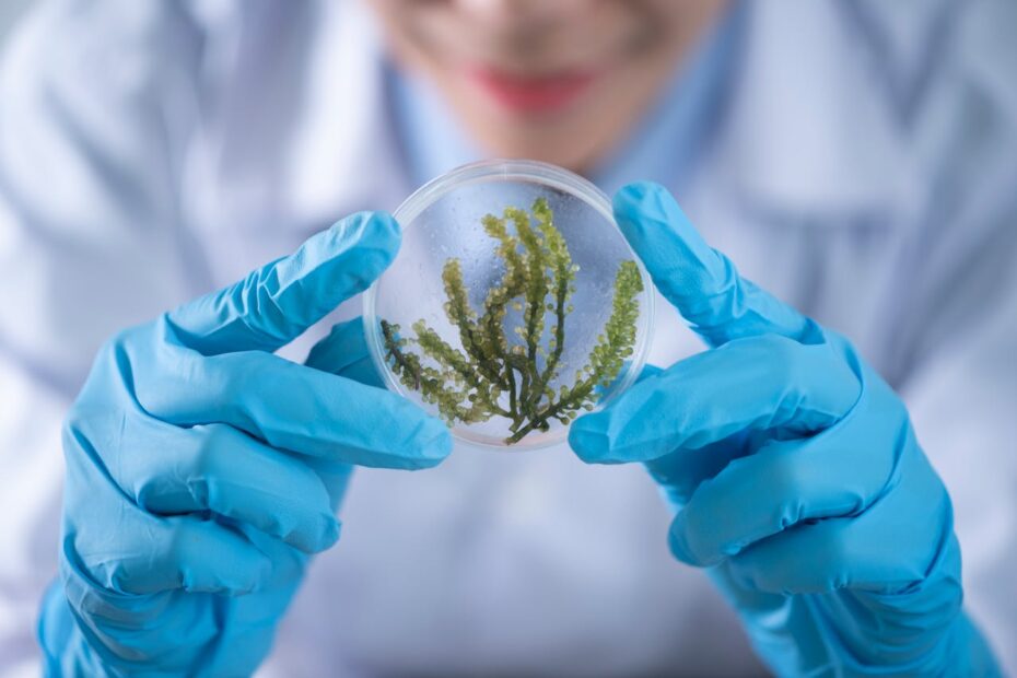 Mikrobiologi Pertanian UGM
